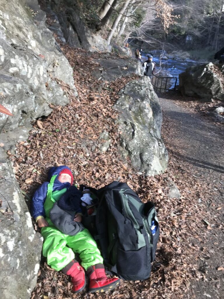 葉っぱのベットで寝る子供